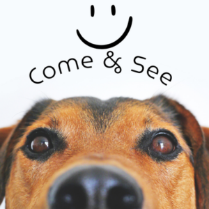 Come and See: An Invitation for the Wary, the Curious, and the Worn-Out